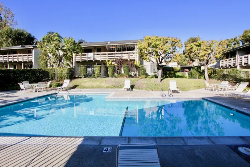 A beautiful blue color swimming pool in the Hillhurst Condos.