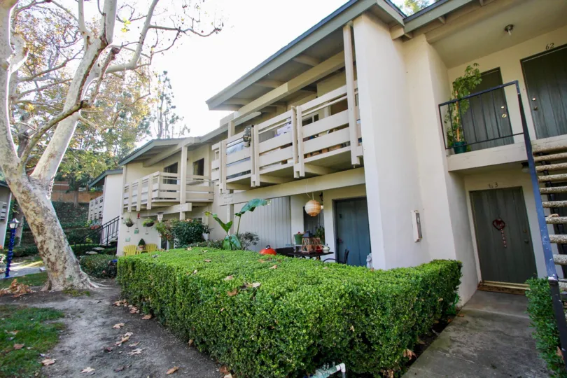 Backyards of Hillhurst condos complex in Laguna Niguel CA