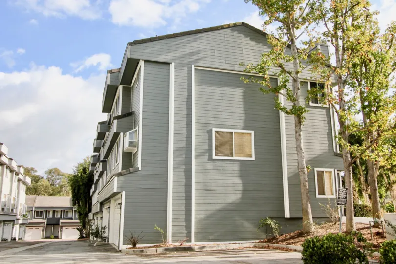 A sunny day in Marin Colony house with beautiful garden and wonderful street
