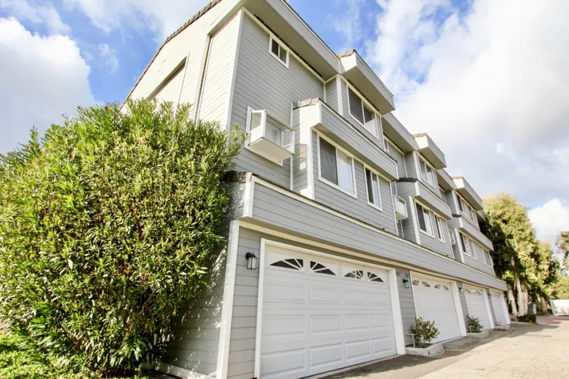 THE APARTMENT IN THE MARIN COLONY WITH THE SHUTTER, PLANTS, THAR ROAD