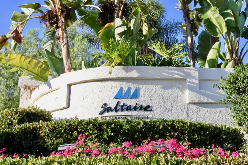 Nice spacious villa with palmtree in front of Saltaire of Laguna Niguel