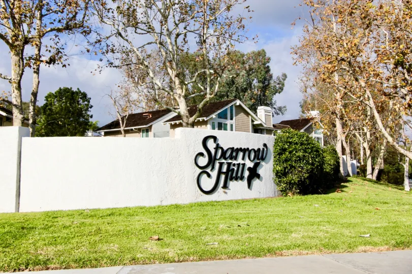 Beautiful fall day in the Sparrow Hill community in Laguna Niguel, CA
