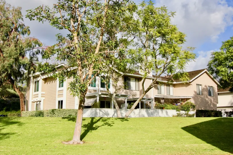A house on a bright sunny day with a beautiful garden with some tress grown in Sparrow Hill