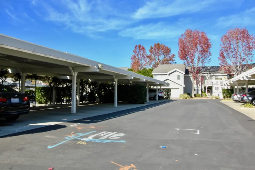 Parking lot and trees in the Windrift in Laguna Niguel, CA