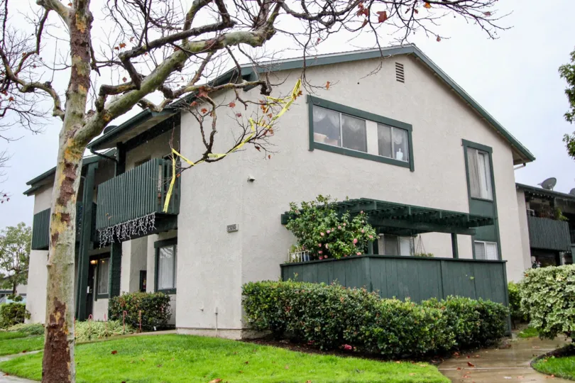 A tree is situated in front of a building in the Aliso Creek Villas.