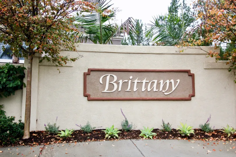A great day in the Brittany at Foothill Ranch with a sign on the wall.