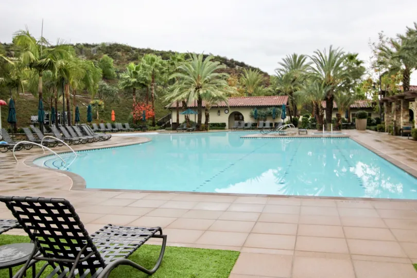 sunny day big green palms and swimming pool in Brookland