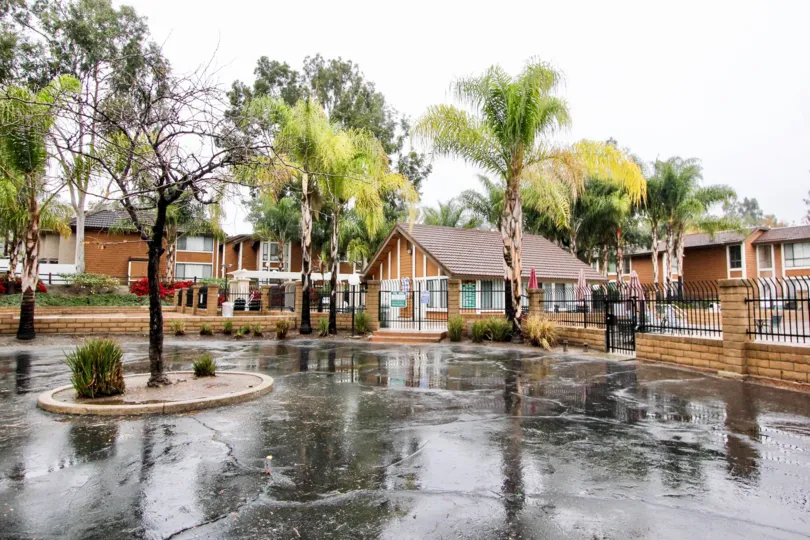 A rainy day in the Cedar Glen with some more houses.