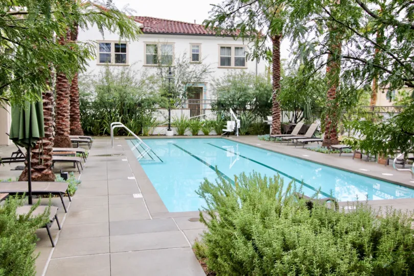 Palm trees sit in between lounge chairs in the El Paseo homes