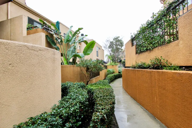 Nice banana trees with plants in a villa of Le Parc in Lake Forest