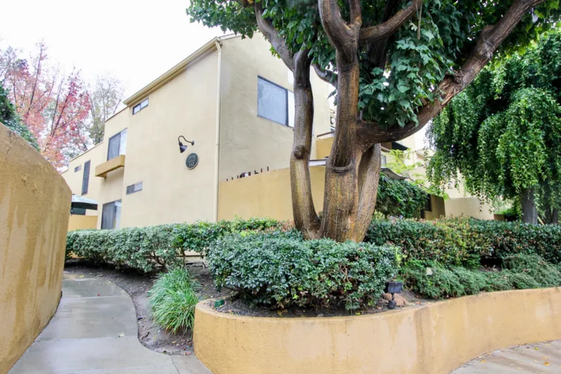 Trees and vegetation in Le Parc in Lake Forest, CA