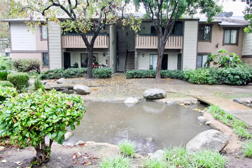 There are two trees situated in front of a building in the Pheasant Creek.