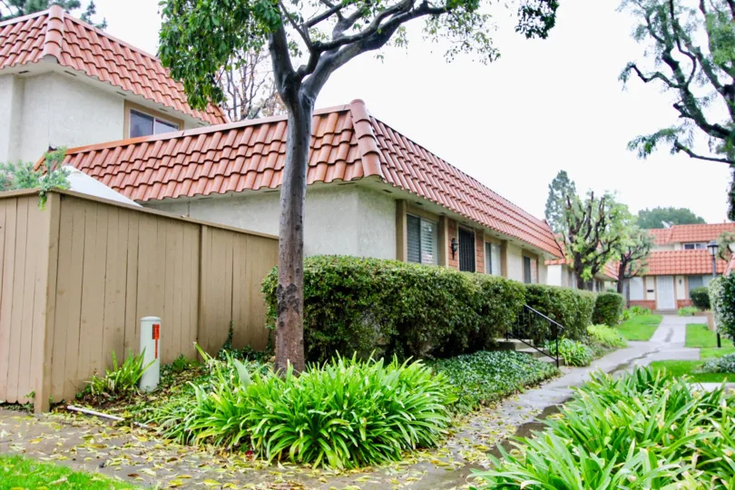 A tree is situated nearby a house in the Rancho Viejo Condos II.