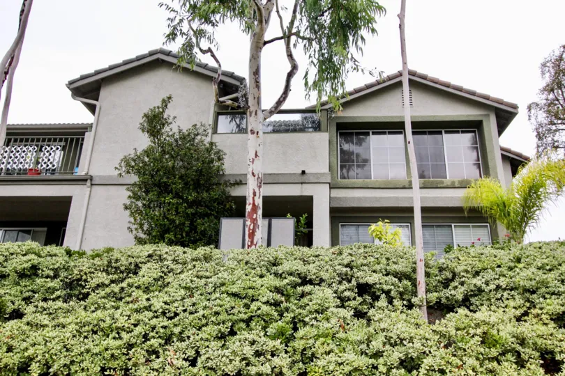 the salerno house is the forest house of the lake forest house of the california