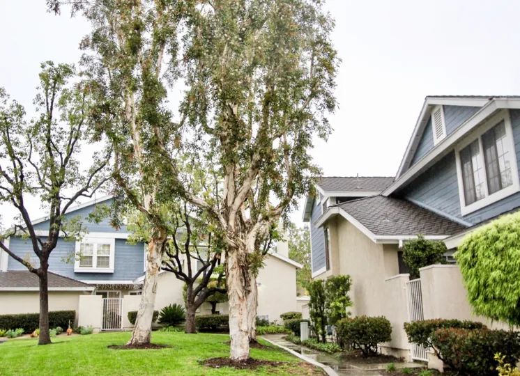 Mature trees surround this San Remo Villas home in Lake Forest, California