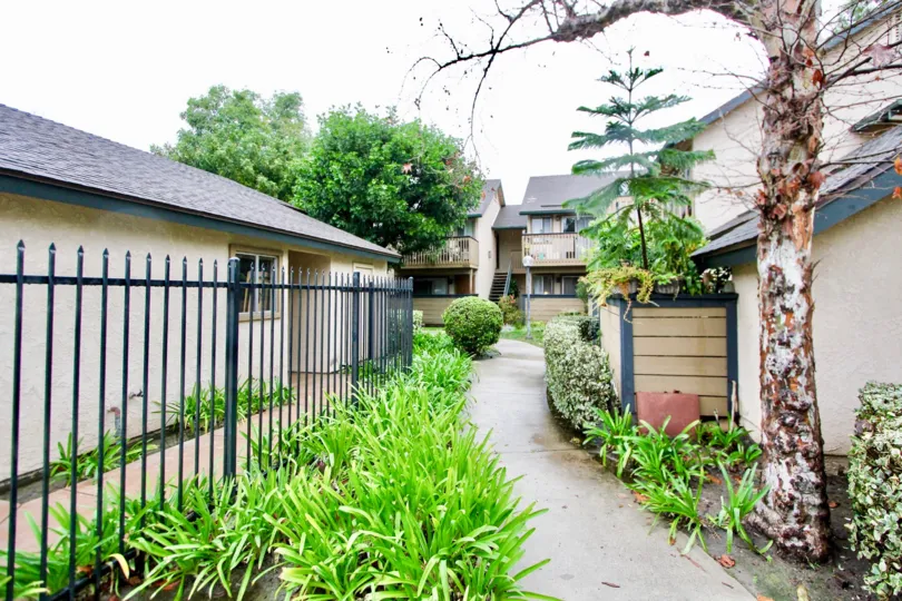 Iron fenced compound wall and beautiful plants in Serrano Creek Villas.