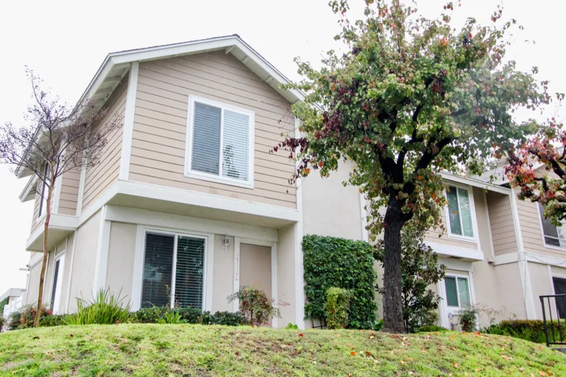 THE 23777 FLAT IN THE VIEJO WEST WITH THE PLANTS, TREES
