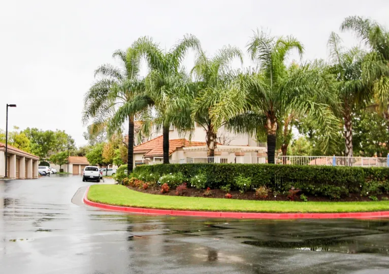 A road that is wet and has trees along it in Villorio community in Lake Forest, California.