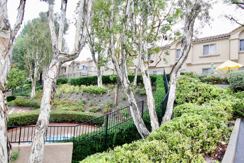 Nice view of a park and trees near villas of Vista Del Flores of Lake Forest