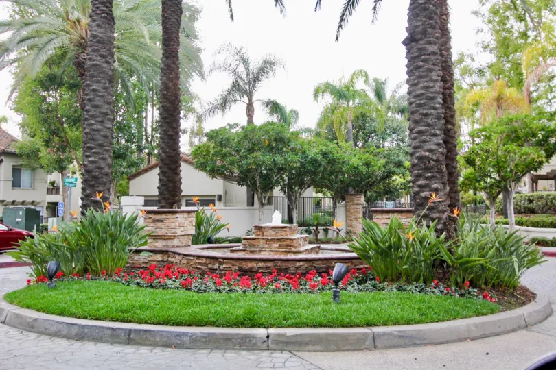 Entrance landscaping with majestic California date palms adorn the Ashton