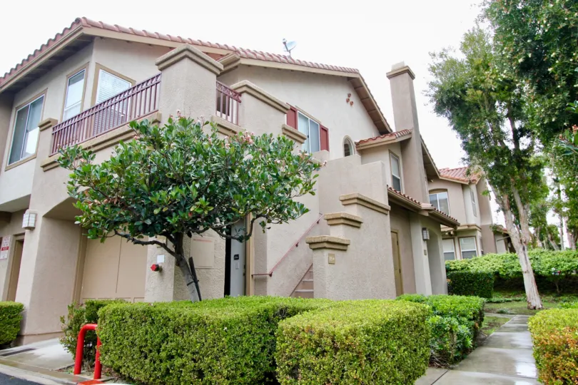 Nice hedges by California Court in Mission Viejo California
