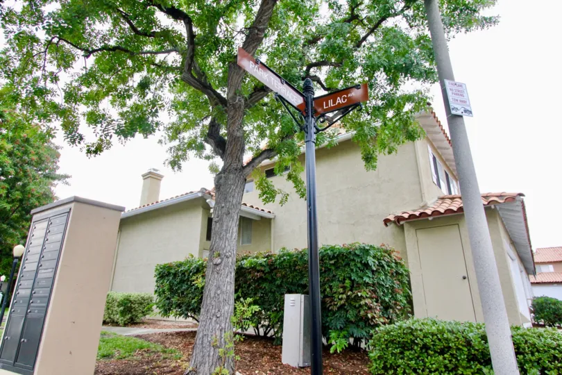 Tall neem tree with street light and post box in Emerald Pointe I.