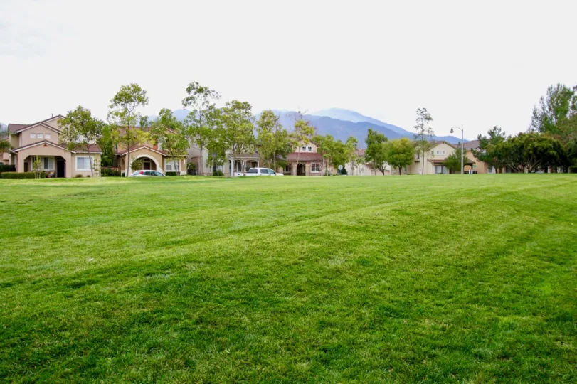 THE VILLAS IN THE MAGDALENA WITH THE GRASSLAND, CAR PARKING, TREES, PLANTS