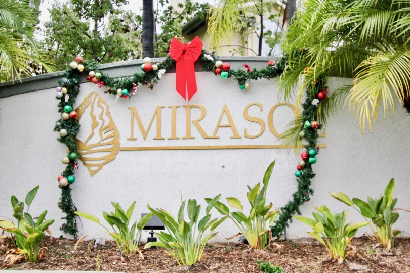 Indoor plants with ribbon decoration and trees in Mirasol.