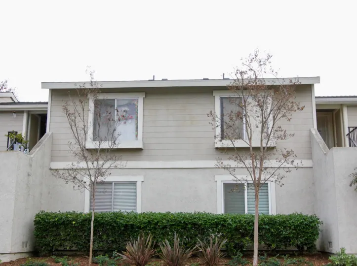Two trees in front of a building in the Valencia area.