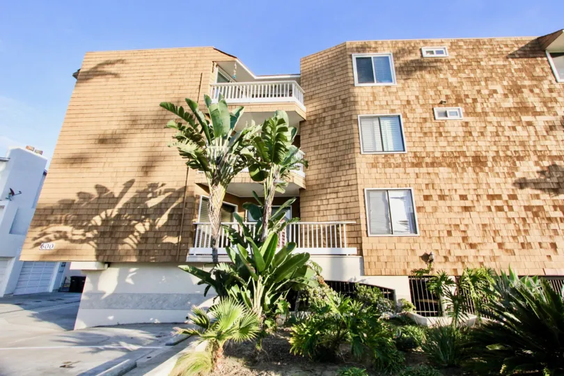 THE HOUSE IN THE BALBOA PENINSULA WITH THE BANANA TREES, BALCONIS, WINDOWS`