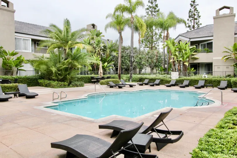 Swimming pool in Bayview Court has chairs with bushes and trees