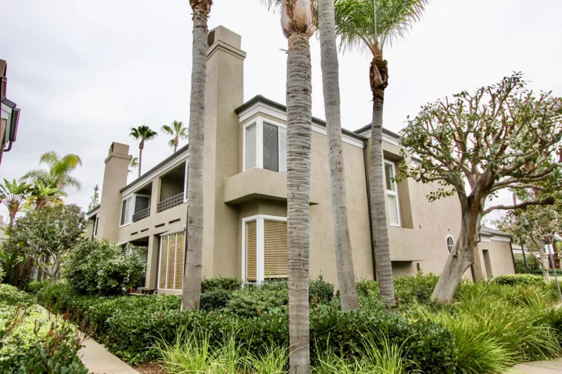 a warm day in the bayview court with building that front of 9 trees in the garden