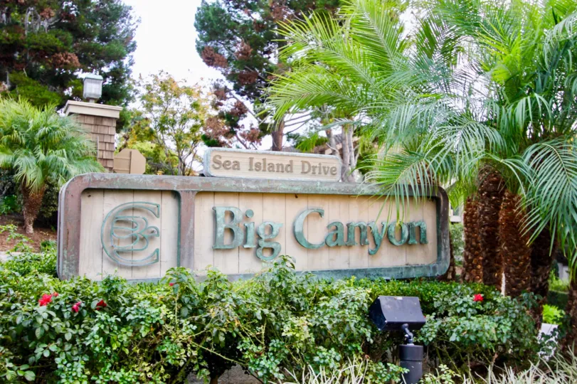 THE GARDEN IN THE BIG CANYON MCLAIN WITH THE SEA ISLAND DRIVE BOARD, PLANTS, TREES, LIGHT