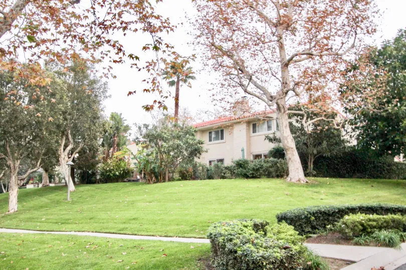 A beautiful day in the Bluffs Tennis Villas with a beautiful tree and lawn.