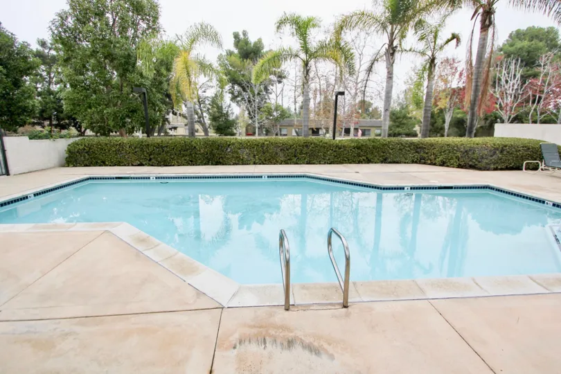 A SUNNY DAY IN THE HARBOR WOODS WITH THE SWIMMING POOL, CHAIRS, TREES, PLANTS