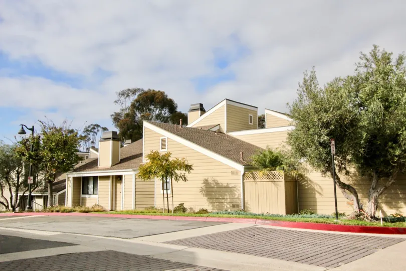 THE FLATS IN THE NEWPORT TERRACE WITH THE ROAD, PLANTS, TREES, LAMP