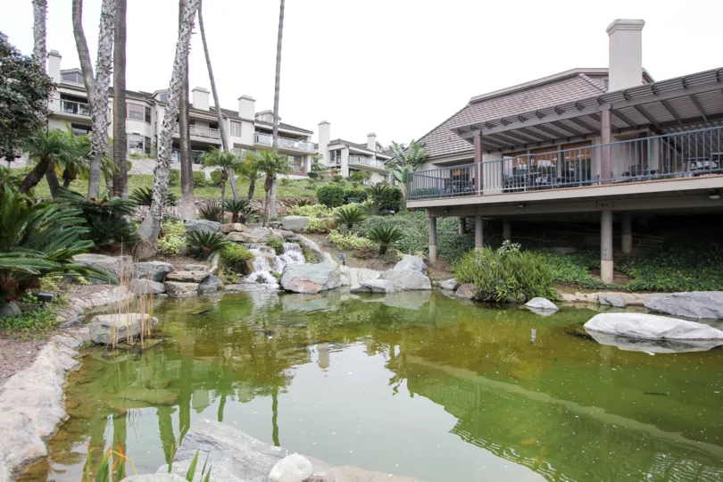 THE APARTMENT IN THE SEA ISLAND LUSK WITH THE ROCK, LAKE, TREES, PLANTS