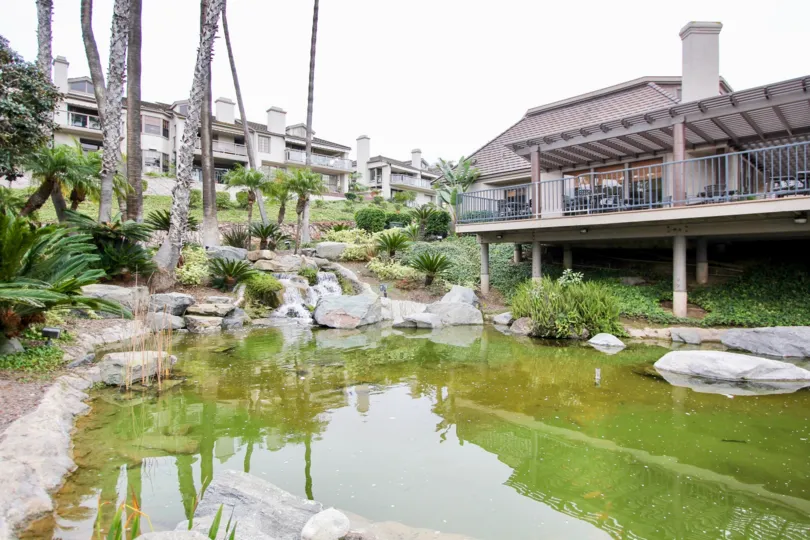 A shallow pond sits near a public outdoor area at Sea Island McClain