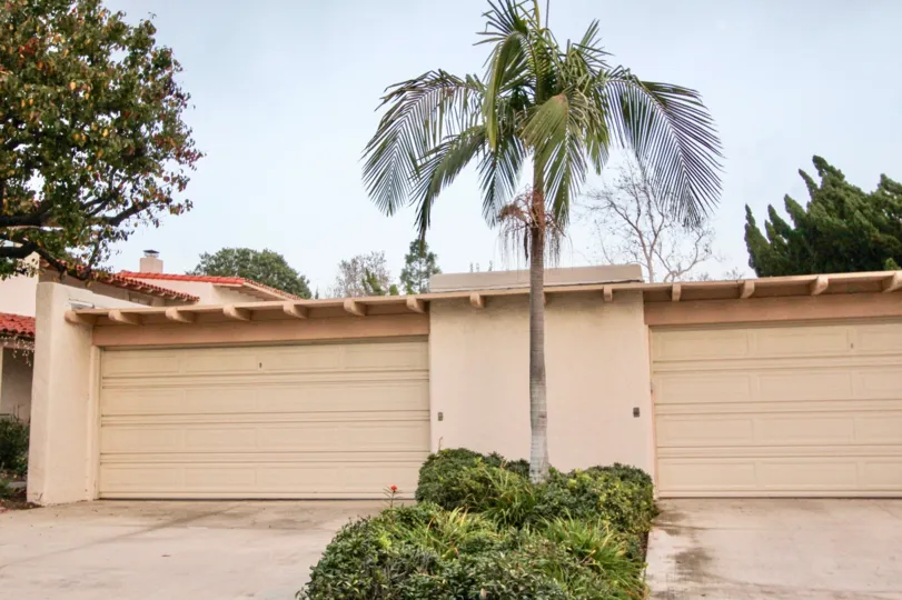 A sunny day in the The Bluffs with a palm tree and building.