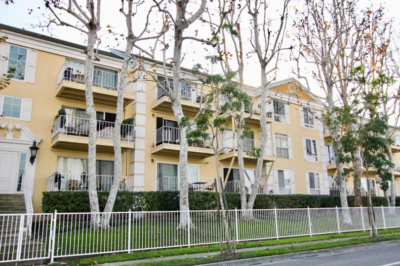 There are many Long trees than apartments grown in front of Apartment in Versailles