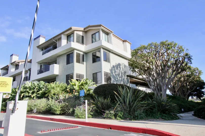 Boards are placed between the bushes and plants near to the Apartment in Villa Balboa
