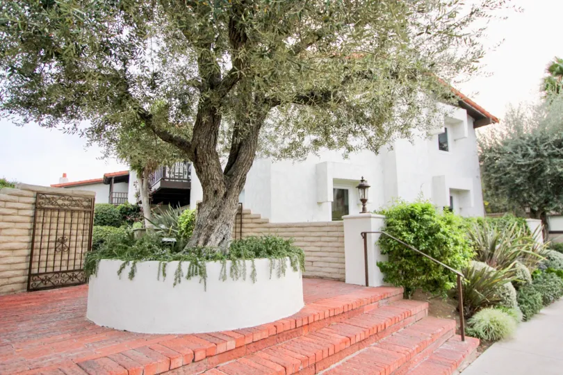 Side trees with gate and stairs of Villa Granada, Newport Beach, CA