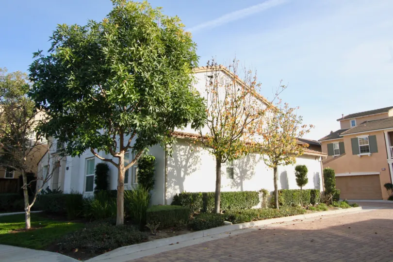 The community of Casita on a sunny day with trees and shrubs