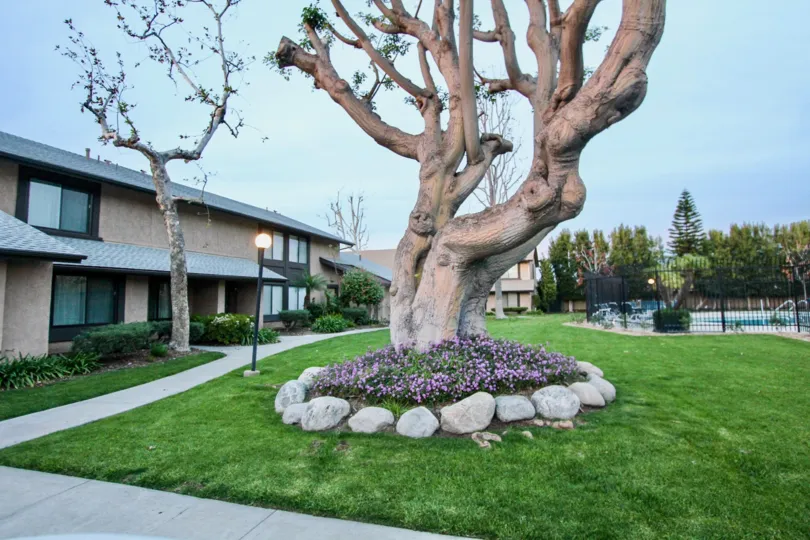 Beautiful neighborhood house with two stories and a lush green front yard