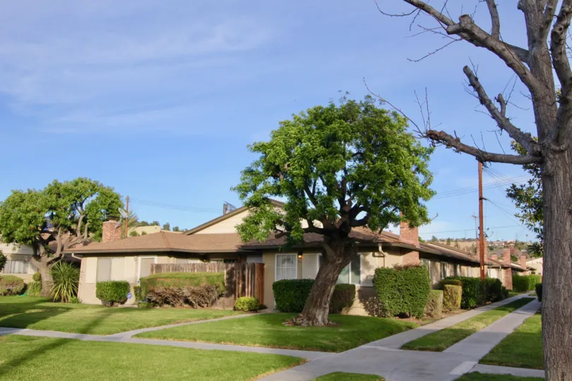 Beautiful neighborhood house with two stories and a lush green front yard