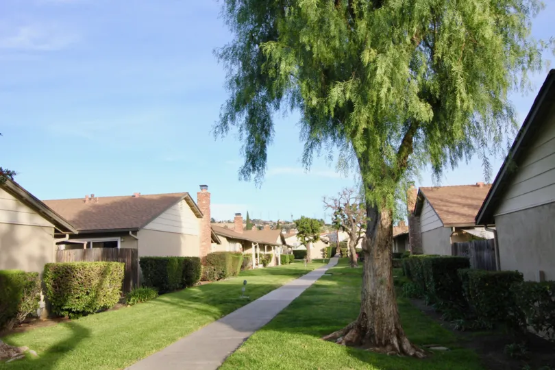Coco Palms Orange California building standing in some good order both sides of long path with hut like roofing