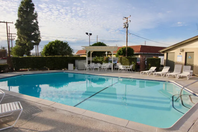 The pool surrounded by chairs and bushes on a sunny day in Coco Palms.