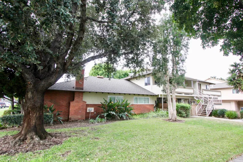 Beautiful neighborhood house with two stories and a lush green front yard