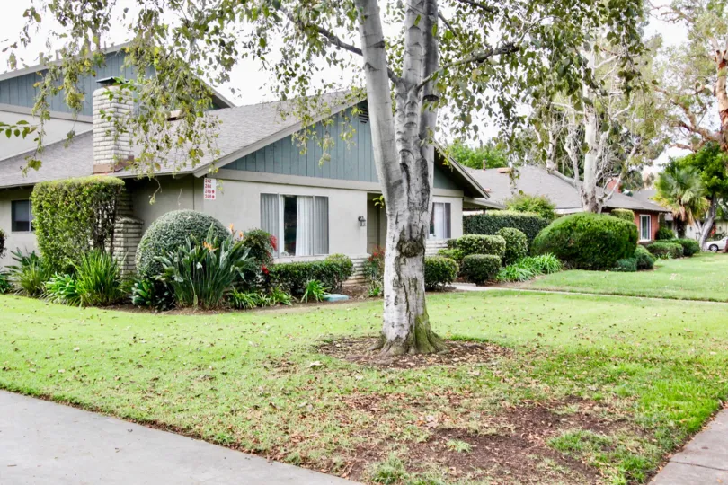 Both side of pathway to house in Criterion has trees, lawn and cutting bushes