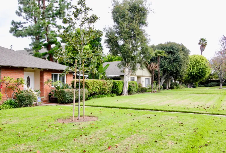 Criterion Orange California with greenish park like view with excellent plants and trees